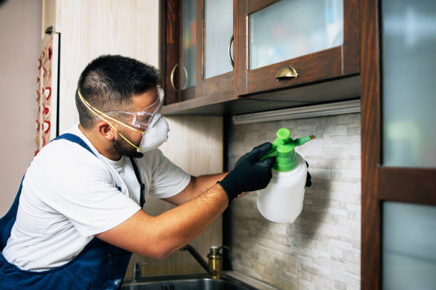 Best Residential Pest Control  in Waterford, CA